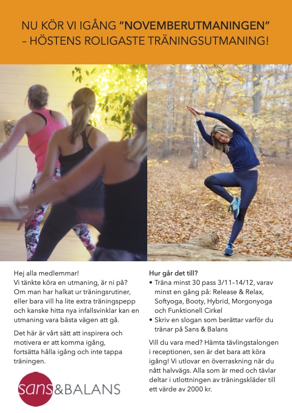 Novemberutmaningen 2025.jpg